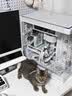 HELLOJOY防猫刺钉驱猫神器防猫爬刺垫沙发保护猫狗隔离禁区刺网垫 6片装 实拍图