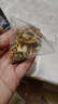 南京同仁堂同仁堂冬瓜荷叶山楂决明子陈皮薄荷玫瑰花瘦减大肚子肥脂养生茶包 实拍图