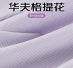 猫人内裤女士款2026年新款高腰收腹无痕内裤女大码提臀抗菌桑蚕丝3条 实拍图
