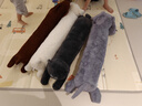野兽派家居（tbh）懒蓝猫长条抱枕靠垫卧室夹腿办公室抱枕沙发可爱腰枕车载抱枕 实拍图