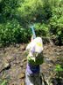 左西男童防蚊裤儿童裤子夏季2026新款薄款凉感速干运动裤 灰色 120 实拍图