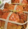 鱻谣 花雕熟醉蟹2.5两母 4只 800g固形物≥62% 去绳足重 大闸蟹螃蟹 实拍图