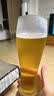 麒麟（Kirin）一番榨 黄啤酒 600ml*12瓶 整箱装京东自营送礼 实拍图