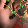 雷蛇（Razer）战锤狂鲨V3有线入耳式耳机耳塞 7.1环绕声 吃鸡神器 适配三角洲行动 Type C 战锤狂鲨V3 实拍图