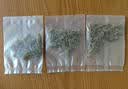 新疆葡萄干 特级葡萄干*1包(拍2发3包） 实拍图