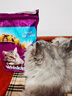 伟嘉猫粮老年猫粮老龄猫1.3kg海洋鱼味夹心粮全价粮 实拍图