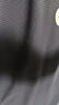 真维斯（Jeanswest）冰丝短袖T恤男夏季纯色体恤衫宽松大码运动健身半袖男士速干上衣 实拍图