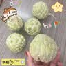 汰渍净白去渍洗衣粉柠檬清新10斤装 强效去渍 大袋批发非皂粉家庭装 实拍图