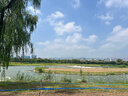 薇姿（VICHY）【张月同款】蓬松红标生姜洗发水男士女士无硅油柔顺花香200ml 实拍图