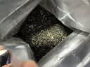 狮峰牌绿茶碧螺春茶叶 明前特级120g礼盒充氮小袋装送礼自己喝 实拍图