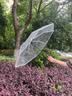 范爷家ins风透明雨伞女自动伞折叠韩系高颜值三折学生磨砂伞网红拍照伞 实拍图