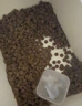 福摩（Fromm）经典鸭肉甜薯配方狗粮26磅（11.79kg）清淡去火舒缓泪痕 效期27-4 实拍图