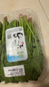 小汤山 油菜 250g 基地直供新鲜蔬菜GAP认证 实拍图