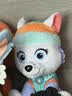 汪汪队立大功（PAW PATROL）毛绒玩具陪睡玩偶经典款珠珠小号坐姿公仔男女孩儿童生日礼物 实拍图