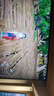 华硕小金刚VG27AQL5A 27英寸显示器2K200Hz显示器超频210Hz FastIPS FreeSync无撕裂 0.3ms响应 HDR400 实拍图