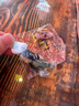 新款创意小狗背包挂件车载亚克力平面挂饰可爱钥匙扣送闺蜜款吊坠 黄泰迪2个 实拍图