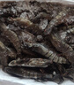 三只海豚黑虎虾大号 净重2斤 30/40规格 大虾 生鲜虾类 聚餐火锅 海鲜烧烤 实拍图