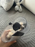 权尚【德国品牌丨100%除螨】除螨仪床上高温杀菌吸尘器三合一 紫外线超声波杀菌大吸力拍打除螨除螨仪 【净螨 PROMAX款】100%除螨率丨紫外线杀菌 加热祛湿丨低分贝丨5M超长线 实拍图
