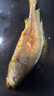 三都港 冷冻醇香黄鱼鲞500g/1-2条 三去大黄花鱼 生鲜 烧烤食材海鲜水产 实拍图