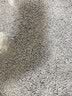 小佩五合一混合猫砂 活性炭豆腐混合 强吸水易结团猫砂可冲厕所除臭 5合1混合砂  14.4kg 规格 实拍图