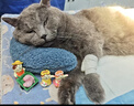 HELLOJOY猫梳子狗狗毛猫毛梳毛刷打薄刮毛神器去底绒防掉毛猫咪宠物开结刀 实拍图