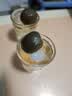 CHOYA俏雅【金梅酒】蜂蜜梅酒带梅子750ml 梅子酒甜酒果酒（2026新款） 实拍图