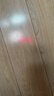 灵宠物语逗猫激光笔猫玩具逗猫棒USB充电自嗨逗猫玩具宠物红外线激光灯 实拍图