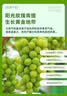 京鲜生 新疆库尔勒香梨 4.5斤装 稀缺 单果140g+ 生鲜水果 实拍图