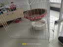 【京东快递】白色多层猫笼子超大空间家用猫窝猫睡玩一体猫咪折叠 双层【基础套餐】一层厕所+二层休息M-58*41*48cm 实拍图
