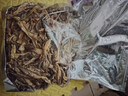 京鲜生云南鹿茸菇干货净重1斤 当季新货脆嫩爽口火锅煲汤小炒源头直发 实拍图