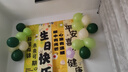 宫薰生日场景布置周岁生日布置挂布背景墙氛围气球派对场景装饰 实拍图