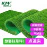 康迈斯人造草坪仿真草坪假草皮户外假草坪室外铺垫人工草坪地垫阳台 实拍图