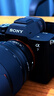 索尼（SONY）Alpha 7 V 全画幅微单相机 约30张/秒高速连拍 S35模式4K 120p ILCE-7M5/A7M5 A7M5+SEL2470GM2 官方标配【晒单好礼】 晒单实拍图