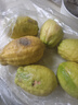广东香水柠檬包邮新鲜水果柠檬精选皮薄奶茶店【百补优选】 柠檬带箱2斤单果净重70g+约10-18个 实拍图