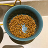 皇家猫粮 幼猫猫粮 幼猫奶糕 K36 通用粮 4-12月 4.5KG*2 实拍图