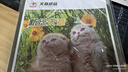 天章 （TANGO）A4铜版纸120g彩喷双面高光打印纸论文内页资料简历照片彩色高光相片纸50张/包【仅适用喷墨打印】 实拍图