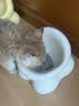 多特思猫零食猫条混合口味15g100支0添加0诱食剂防掉毛成幼猫咪鱼油罐头 实拍图