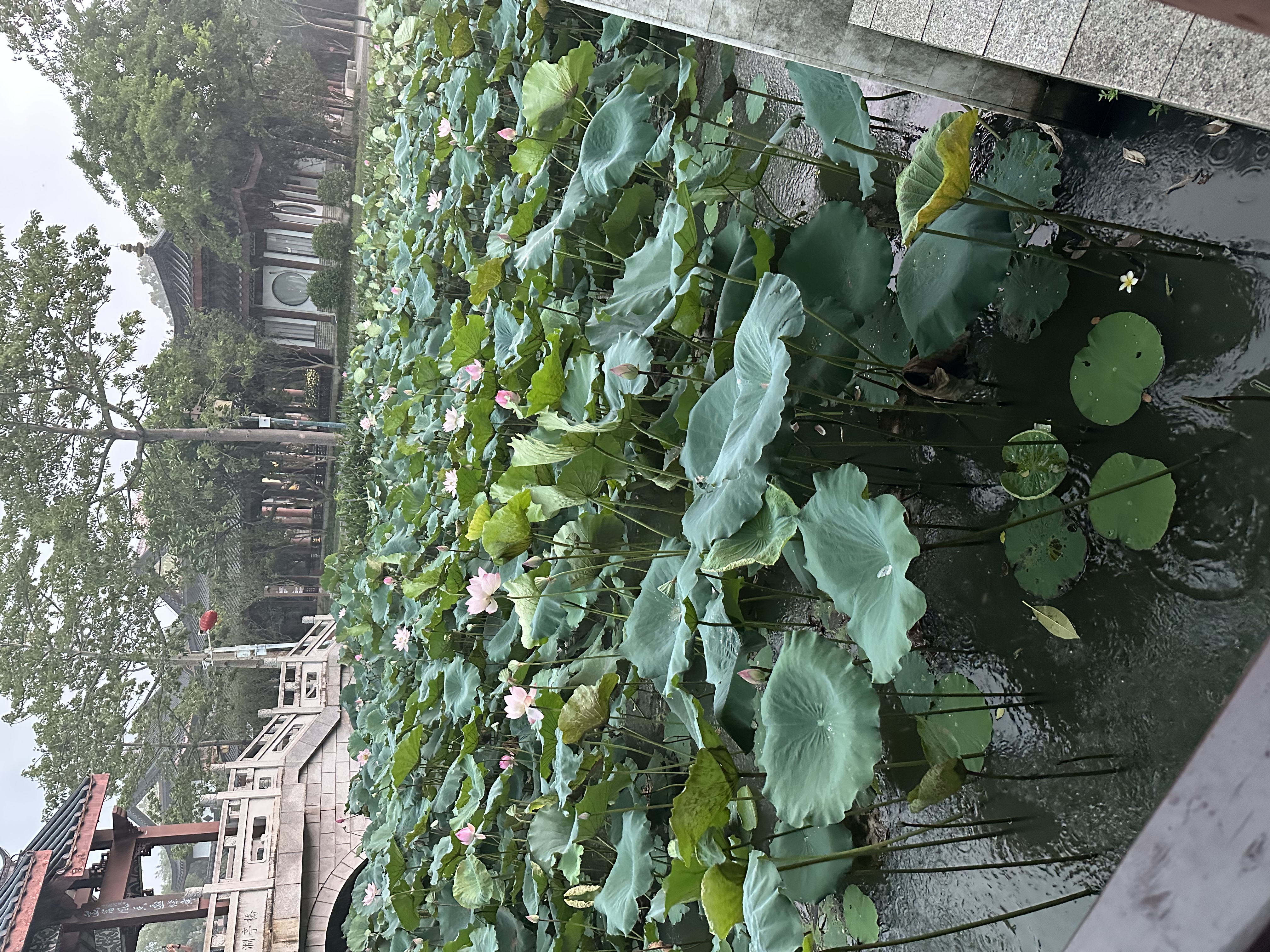 曼妮芬隐形无痕粉底液抹胸内衣女2025新款薄款舒适美背透气隐形升杯文胸 实拍图