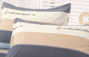 艾薇 A类枕头套纯棉家用全棉单人枕套一对枕芯套 罗马时代 48*74cm 实拍图