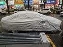 依肯斯全罩车衣防雨防晒防刮防划特斯拉Model 3雷凌卡罗来朗逸宝来 实拍图