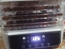 京严食品烘干机家用小型果蔬干果机宠物零食肉类冻干风干机水果烤干器 AI智能触控+一键设置【5层大容量】 【层高可调】超长定时免看管 实拍图