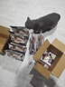 网易严选全价冻干双拼猫粮3.0成猫幼猫干粮鲜鸡肉7.2kg【囤货装】宠物金选 实拍图