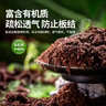 史丹利3L包装营养土园艺有机土通用型种花种菜养花专用泥炭土壤种植土 实拍图