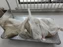 搬运宝钢板小推车买菜手拉车免安装推车可折叠平板车静音轮拖车 【工业增强MAX】钢板125*75特大【6寸静音轮】2500斤 实拍图