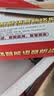 凌防（LFang）AE99 家用防盗报警器店铺红外门窗门磁防盗电话通知安防系统 标配 实拍图