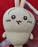 名创优品（MINISO）chiikawa小号站姿公仔毛绒玩偶玩具抱枕生日礼物女 Usagi乌萨奇 实拍图