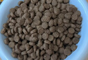 愛肯拿（ACANA）猫粮 海洋盛宴成猫幼猫粮 全价美毛无谷进口鱼肉粮1.8kg效期27/4 实拍图