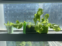 光多拉儿童马桶辅助器阶梯式马桶扶手架坐便器女宝宝马桶架软坐垫 实拍图