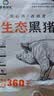 鲁南顺发黑猪猪肚 净重2斤2-3个 猪肉煲汤炒菜猪肚丝原料 源头直发 实拍图