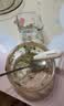 爷爷的农场有机婴幼儿片片面200g  宝宝辅食婴儿面条钙铁锌儿童早餐6-12个月 实拍图